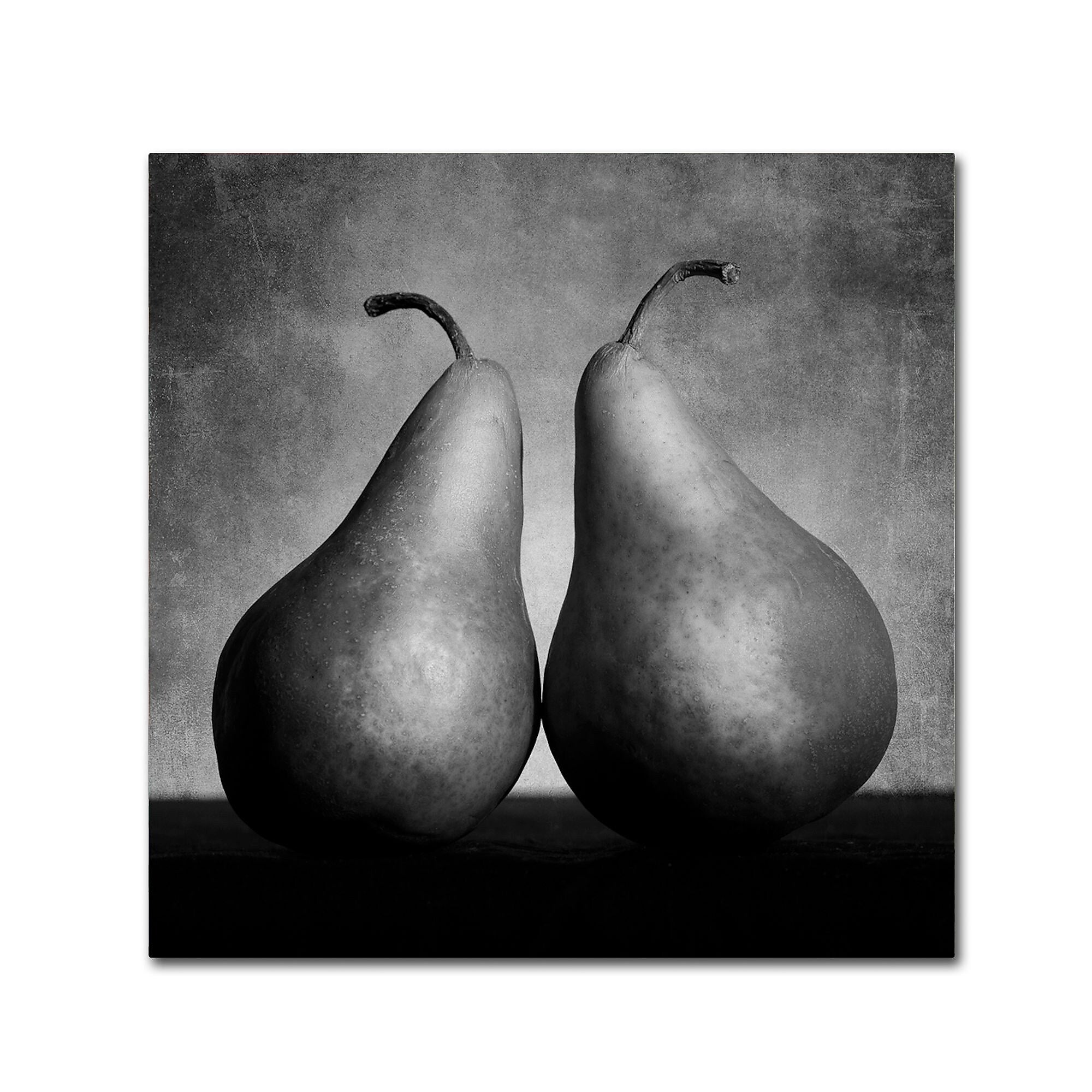 Trademark Fine Art ''Peras Enamoradas'' by Moises Levy 18" x 18" Canvas Art (ALI1106-C1818GG)