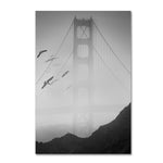 Trademark Fine Art ''Golden Gate Pier and Birds I'' by Moises Levy 16" x 24" Canvas Art (ALI1112-C1624GG)