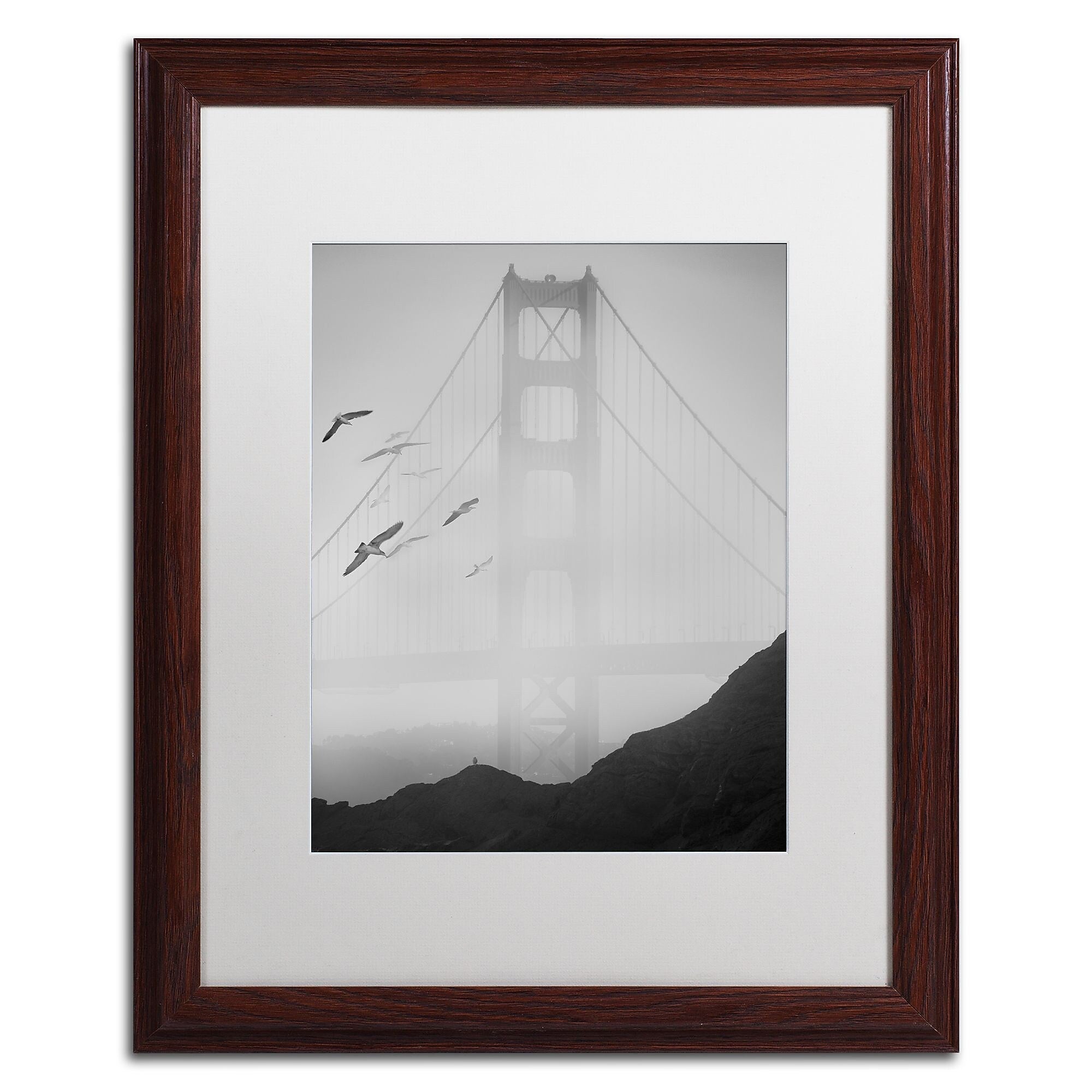 Trademark Fine Art ''Golden Gate Pier and Birds I'' by Moises Levy 16" x 20" White Matted Wood Frame (ALI1112-W1620MF)