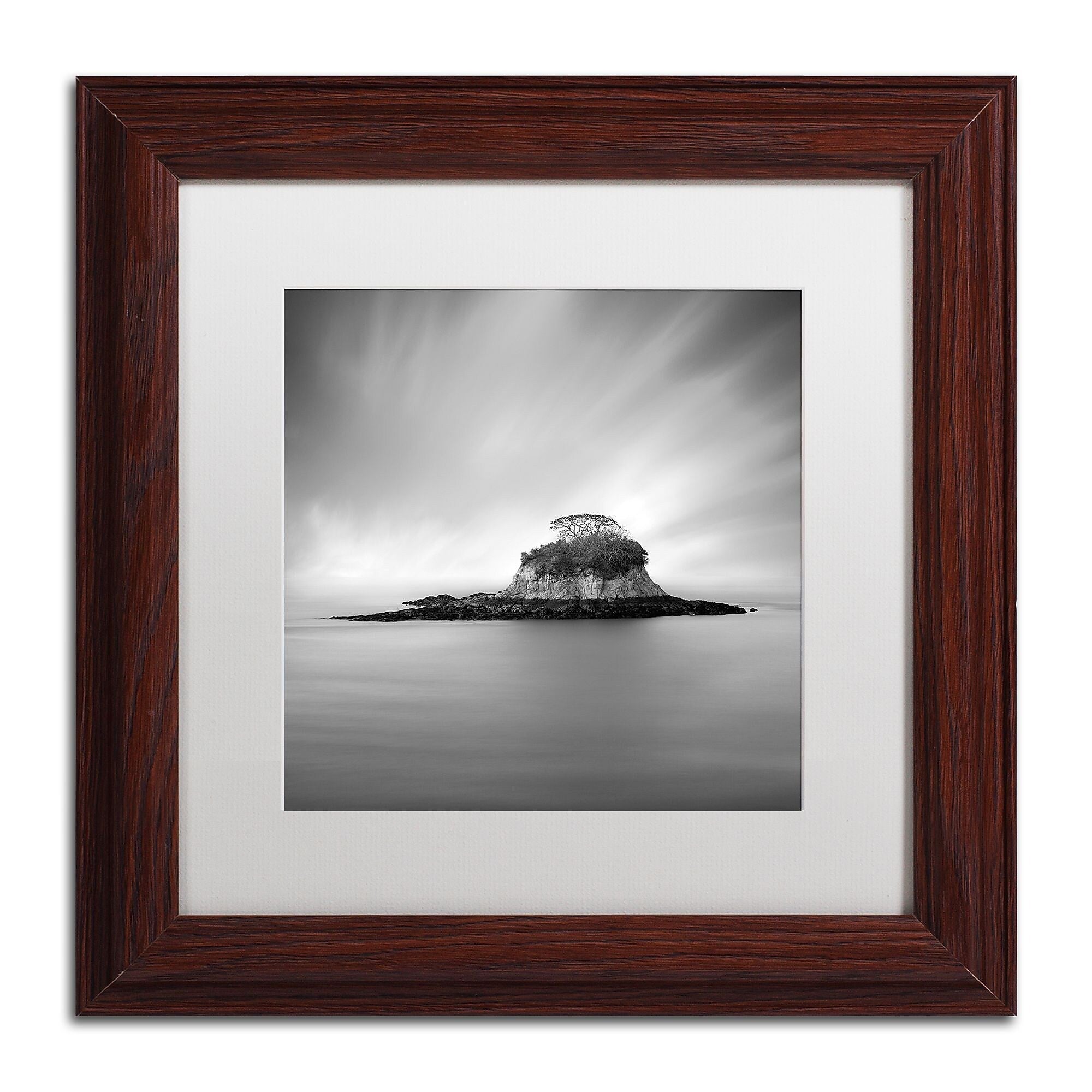 Trademark Fine Art ''Rat Island'' by Moises Levy 11" x 11" White Matted Wood Frame (ALI1118-W1111MF)