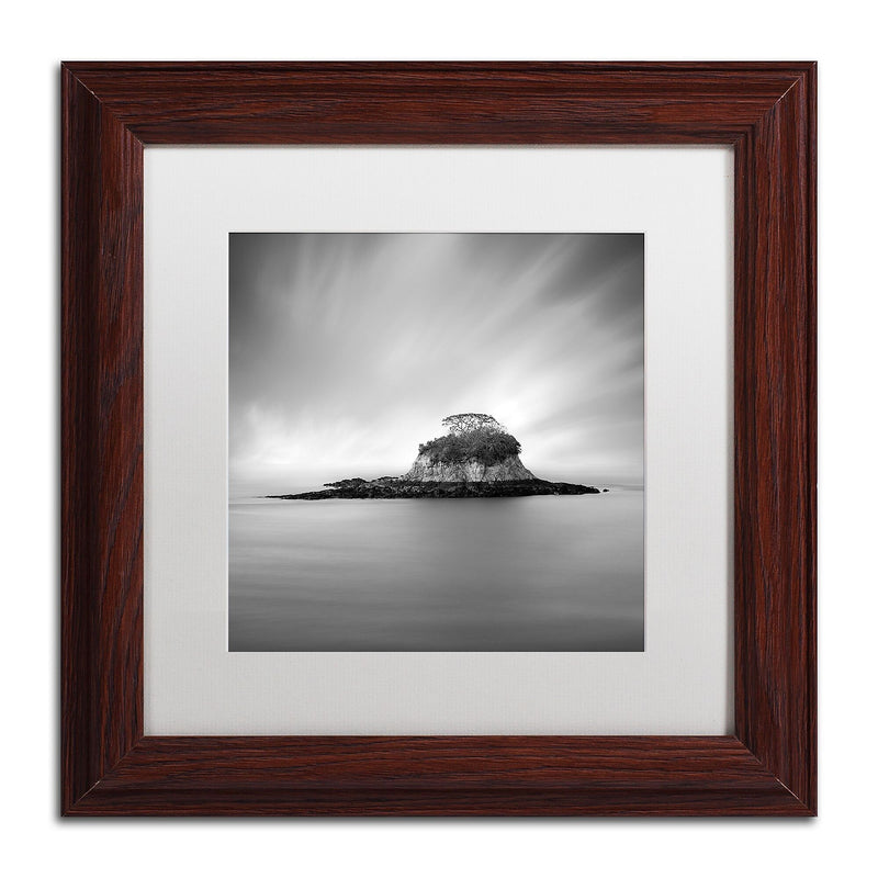 Trademark Fine Art ''Rat Island'' by Moises Levy 11" x 11" White Matted Wood Frame (ALI1118-W1111MF)