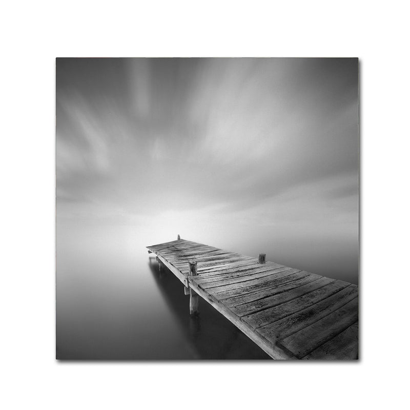 Trademark Fine Art ''Destiny IVb'' by Moises Levy 18" x 18" Canvas Art (ALI1121-C1818GG)
