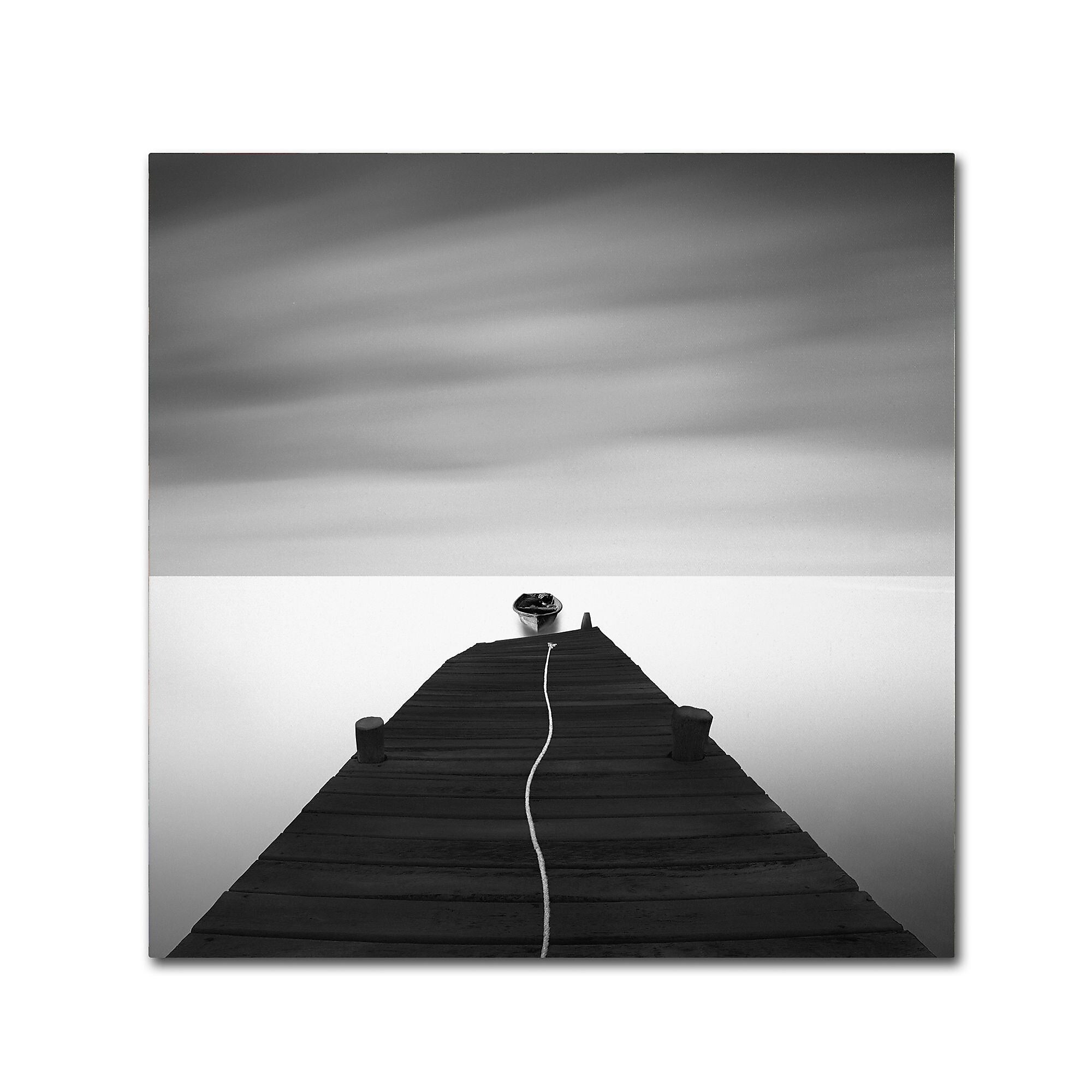 Trademark Fine Art ''Free'' by Moises Levy 18" x 18" Canvas Art (ALI1122-C1818GG)
