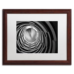 Trademark Fine Art ''Pozo'' by Moises Levy 16" x 20" White Matted Wood Frame (ALI1123-W1620MF)