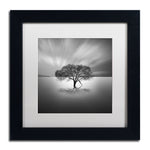 Trademark Fine Art ''Water Tree VIII'' by Moises Levy 11" x 11" White Matted Black Frame (ALI1125-B1111MF)