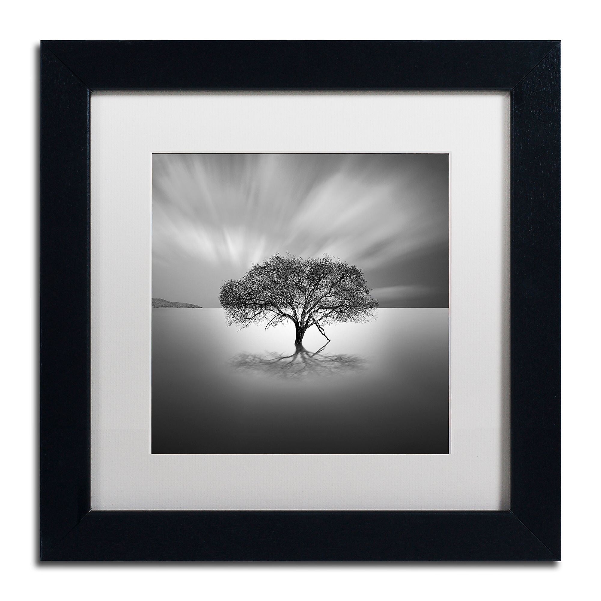 Trademark Fine Art ''Water Tree VIII'' by Moises Levy 11" x 11" White Matted Black Frame (ALI1125-B1111MF)