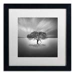 Trademark Fine Art ''Water Tree VIII'' by Moises Levy 16" x 16" White Matted Black Frame (ALI1125-B1616MF)