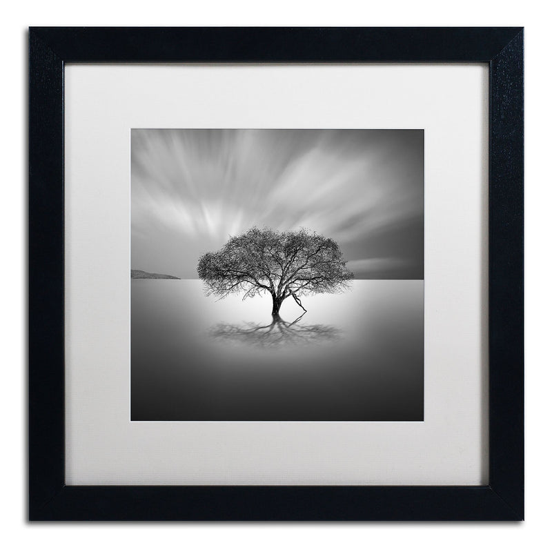 Trademark Fine Art ''Water Tree VIII'' by Moises Levy 16" x 16" White Matted Black Frame (ALI1125-B1616MF)