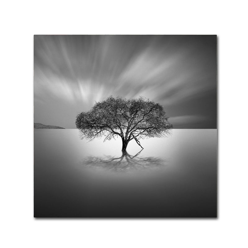 Trademark Fine Art ''Water Tree VIII'' by Moises Levy 18" x 18" Canvas Art (ALI1125-C1818GG)