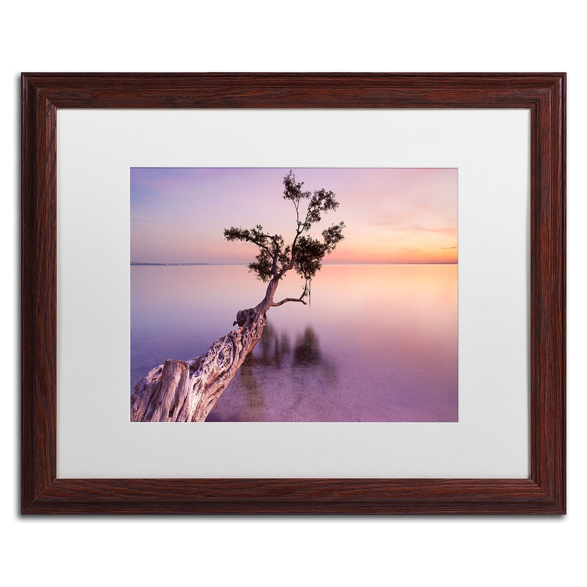 Trademark Fine Art ''Water Tree XI'' by Moises Levy 16" x 20" White Matted Wood Frame (ALI1127-W1620MF)