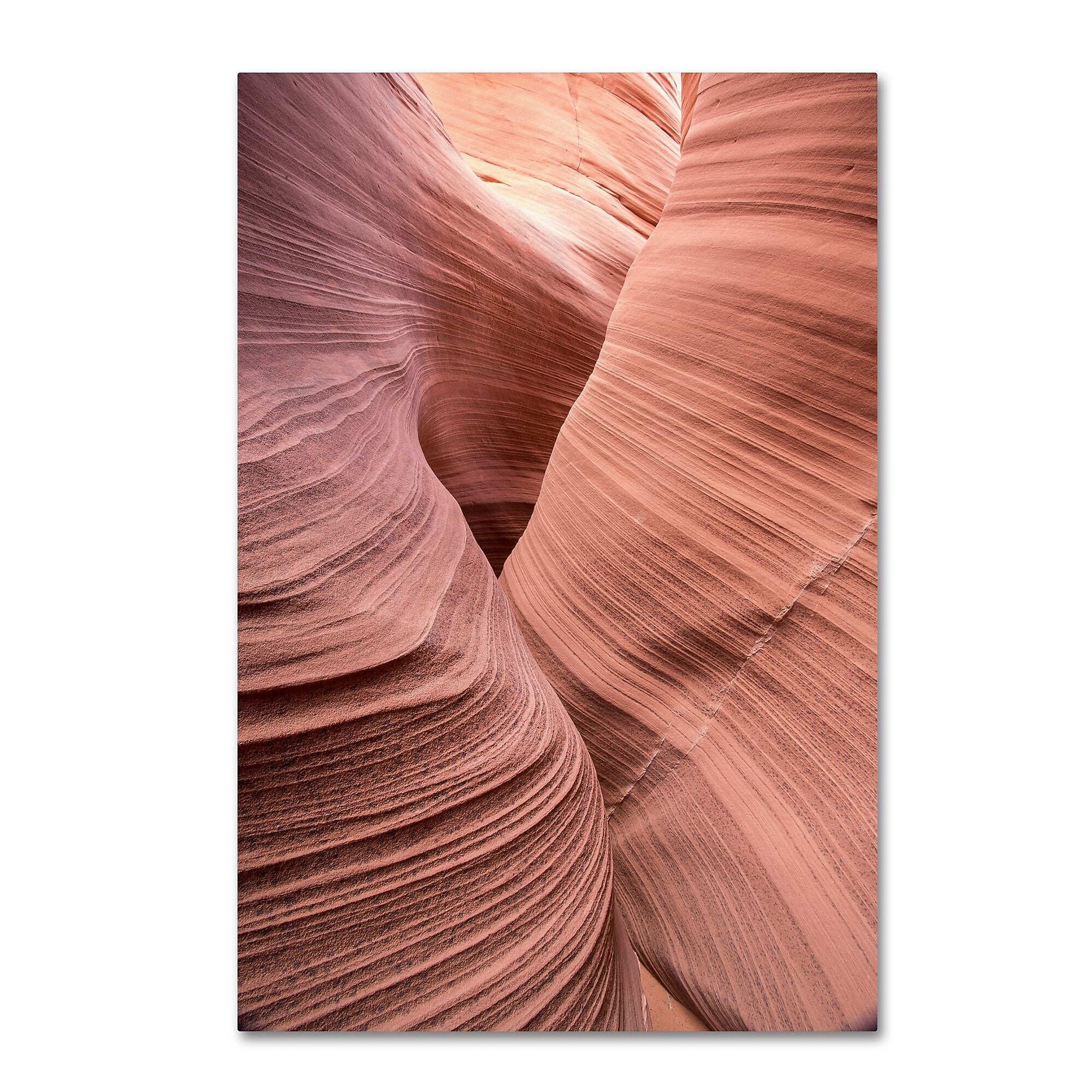 Trademark Fine Art ''Spiral V'' by Moises Levy 16" x 24" Canvas Art (ALI1137-C1624GG)