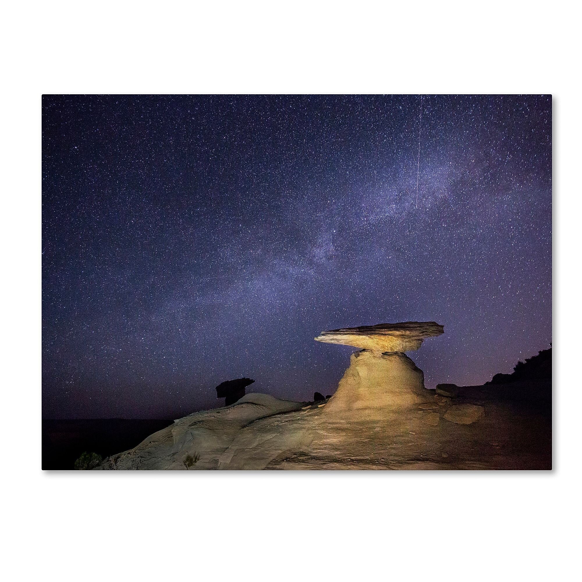 Trademark Fine Art ''Starry Night in Arizona III'' by Moises Levy 35" x 47" Canvas Art (ALI1139-C3547GG)
