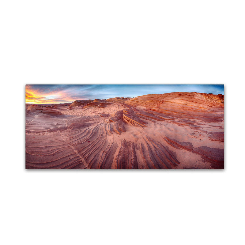 Trademark Fine Art ''The Great Wall'' by Moises Levy 10" x 24" Canvas Art (ALI1140-C1024GG)