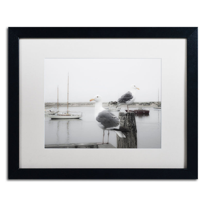 Trademark Fine Art ''Two Seagulls & Boats'' by Moises Levy 16" x 20" White Matted Black Frame (ALI1147-B1620MF)