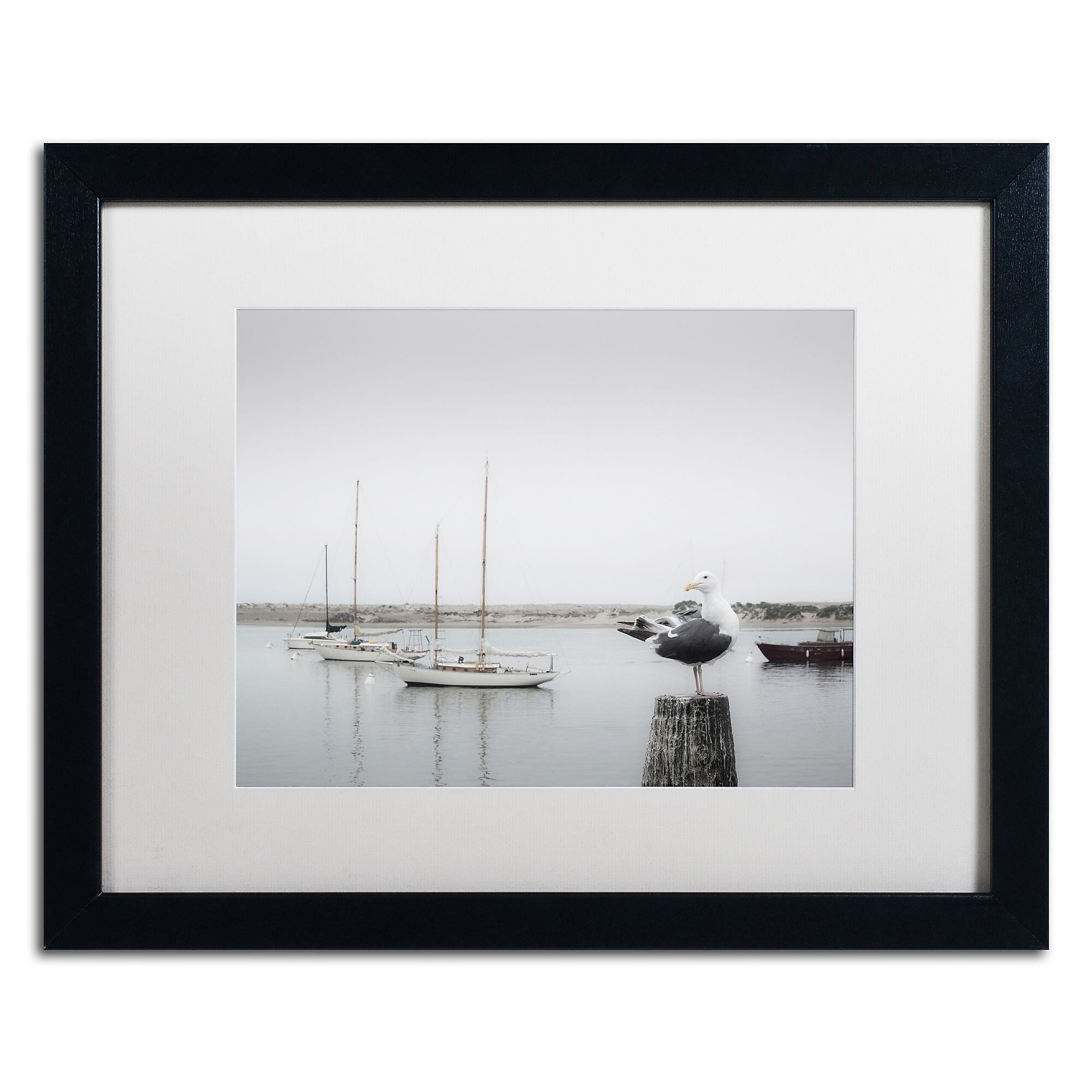 Trademark Fine Art ''Four Boats & Seagull'' by Moises Levy 16" x 20" White Matted Black Frame (ALI1148-B1620MF)