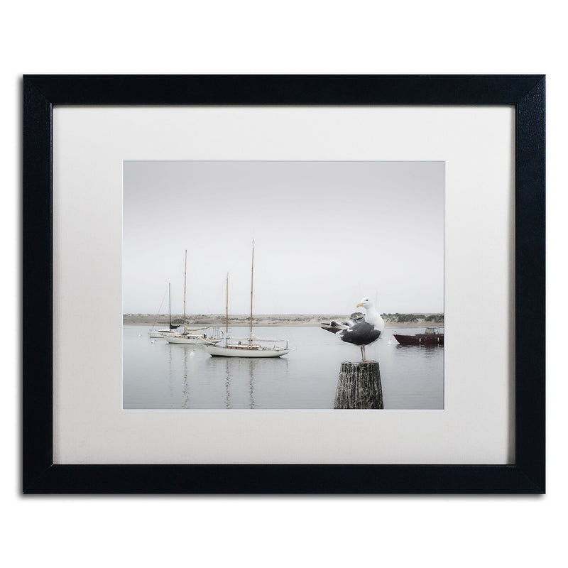 Trademark Fine Art ''Four Boats & Seagull'' by Moises Levy 16" x 20" White Matted Black Frame (ALI1148-B1620MF)