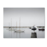 Trademark Fine Art ''Four Boats & Seagull'' by Moises Levy 35" x 47" Canvas Art (ALI1148-C3547GG)