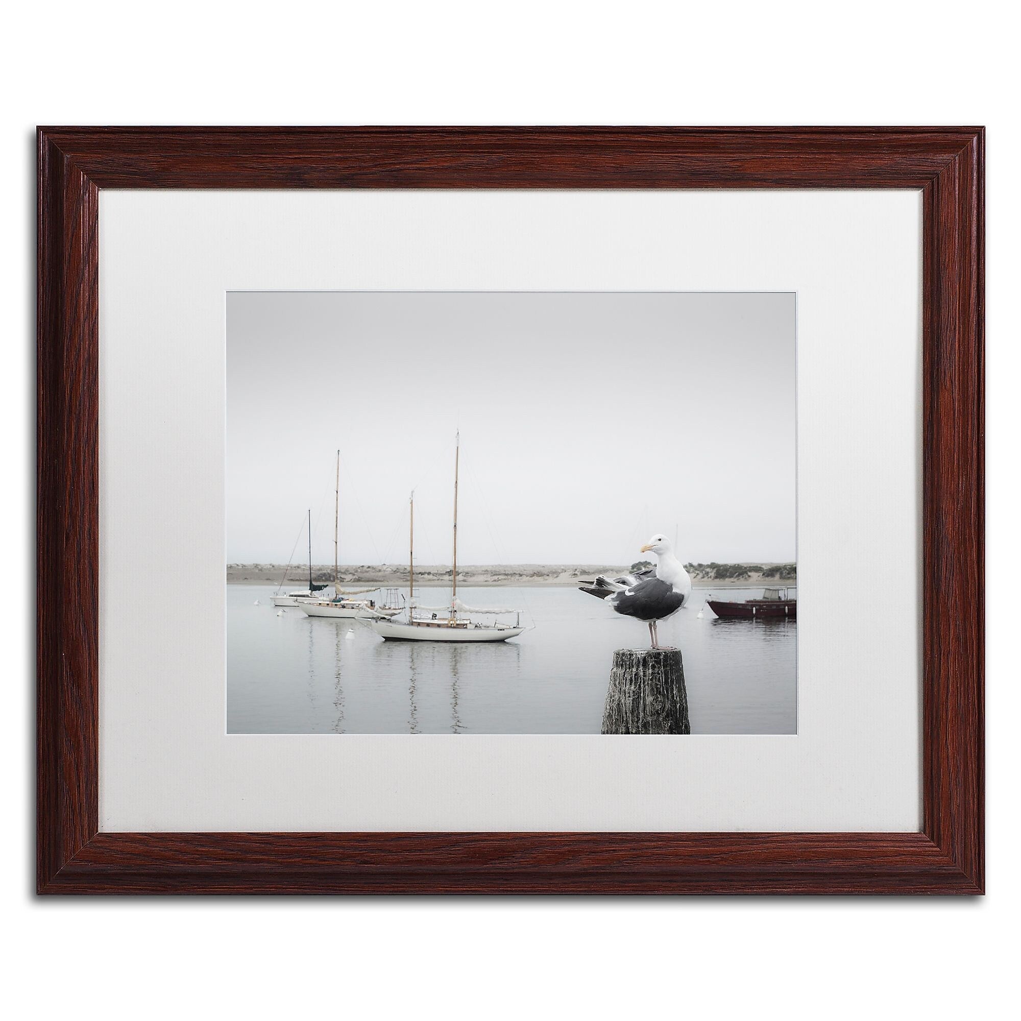Trademark Fine Art ''Four Boats & Seagull'' by Moises Levy 16" x 20" White Matted Wood Frame (ALI1148-W1620MF)