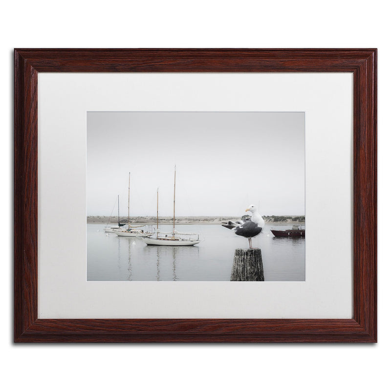 Trademark Fine Art ''Four Boats & Seagull'' by Moises Levy 16" x 20" White Matted Wood Frame (ALI1148-W1620MF)