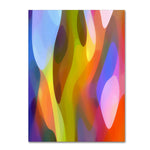 Trademark Fine Art ''Dappled Light 3'' by Amy Vangsgard 35" x 47" Canvas Art (AV0101-C3547GG)
