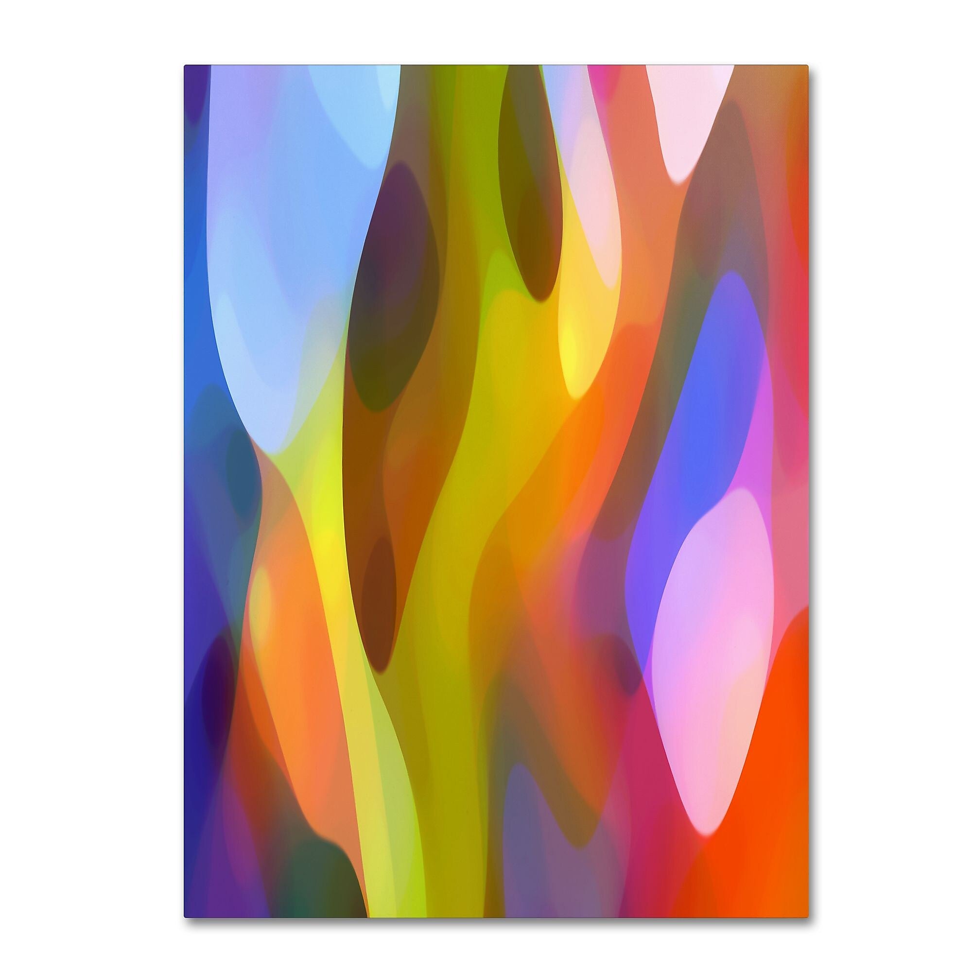 Trademark Fine Art ''Dappled Light 3'' by Amy Vangsgard 35" x 47" Canvas Art (AV0101-C3547GG)