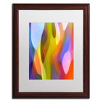 Trademark Fine Art ''Dappled Light 3'' by Amy Vangsgard 16" x 20" White Matted Wood Frame (AV0101-W1620MF)