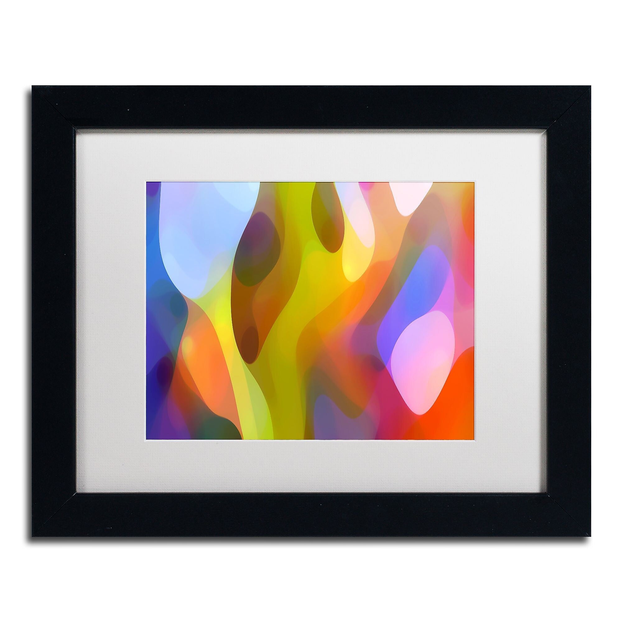 Trademark Fine Art ''Dappled Light 5'' by Amy Vangsgard  11" x 14" White Matted Black Frame (AV0103-B1114MF)
