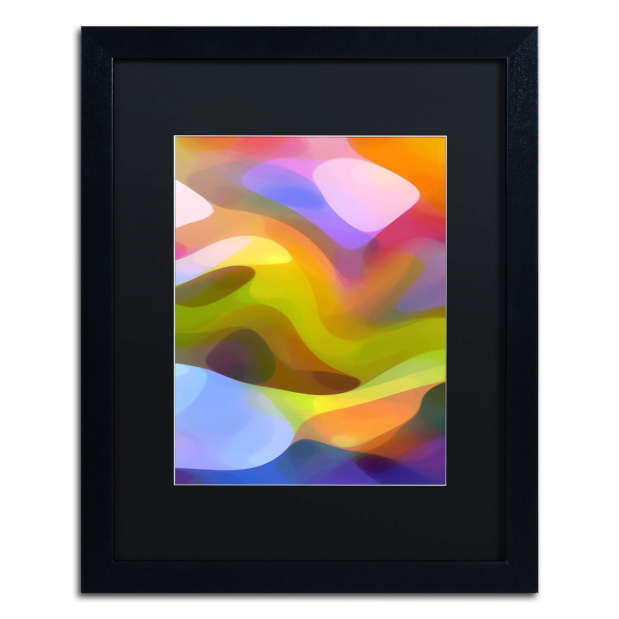 Trademark Fine Art ''Dappled Light 8'' by Amy Vangsgard 16" x 20" Black Matted Black Frame (AV0107-B1620BMF)