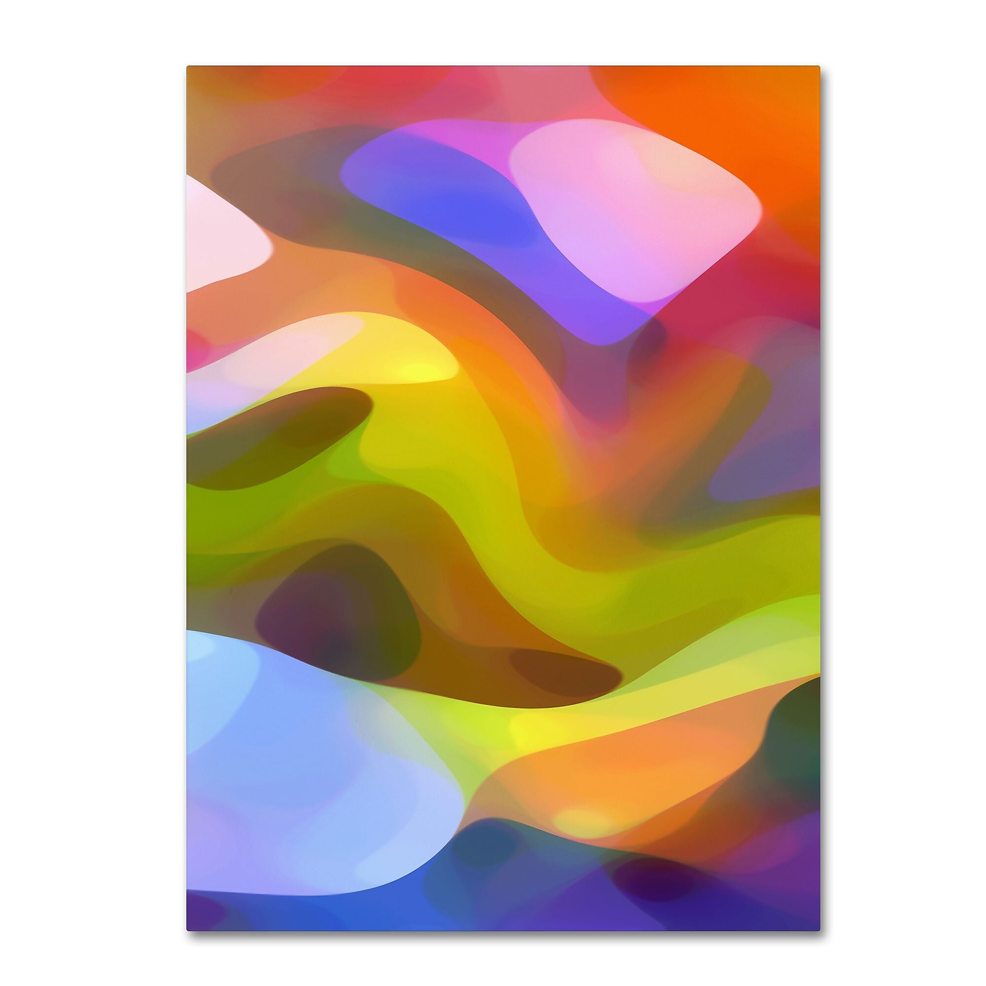 Trademark Fine Art ''Dappled Light 8'' by Amy Vangsgard  35" x 47" Canvas Art (AV0107-C3547GG)