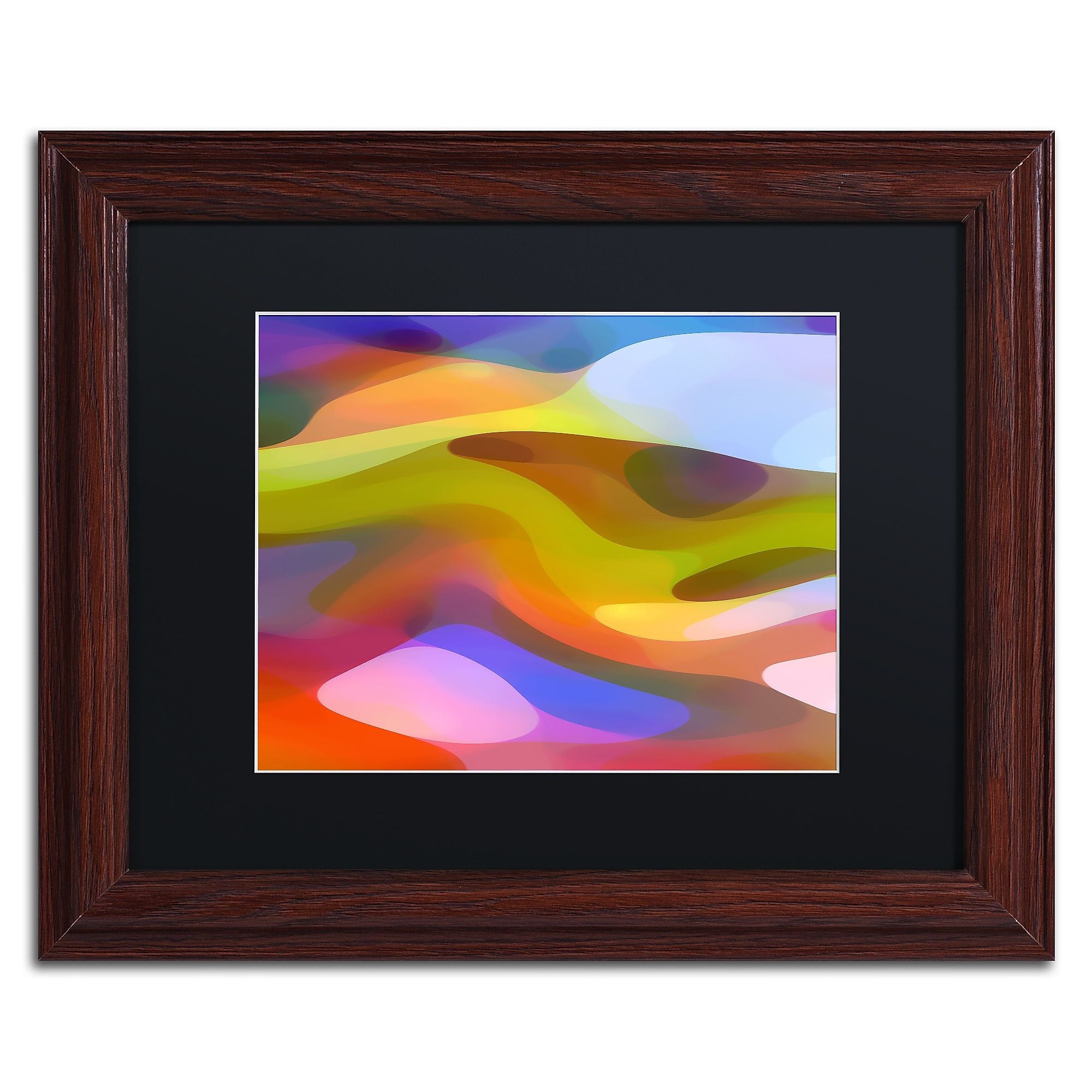 Trademark Fine Art ''Dappled Light 9'' by Amy Vangsgard  11" x 14" Black Matted Wood Frame (AV0108-W1114BMF)