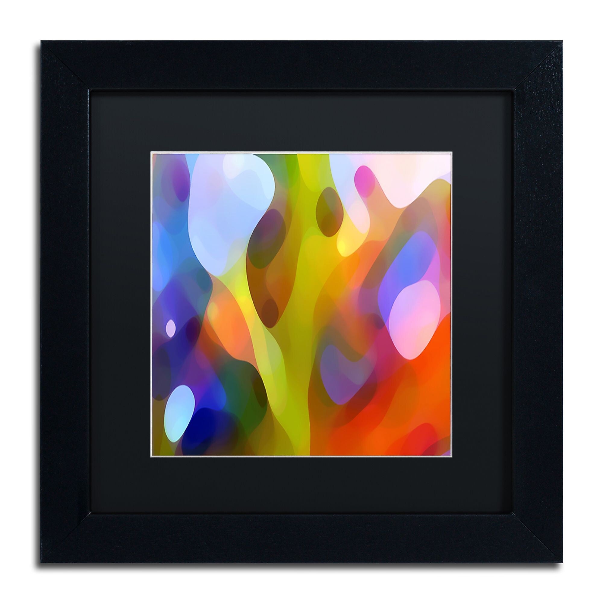 Trademark Fine Art ''Dappled Light 15'' by Amy Vangsgard  11" x 11" Black Matted Black Frame (AV0109-B1111BMF)