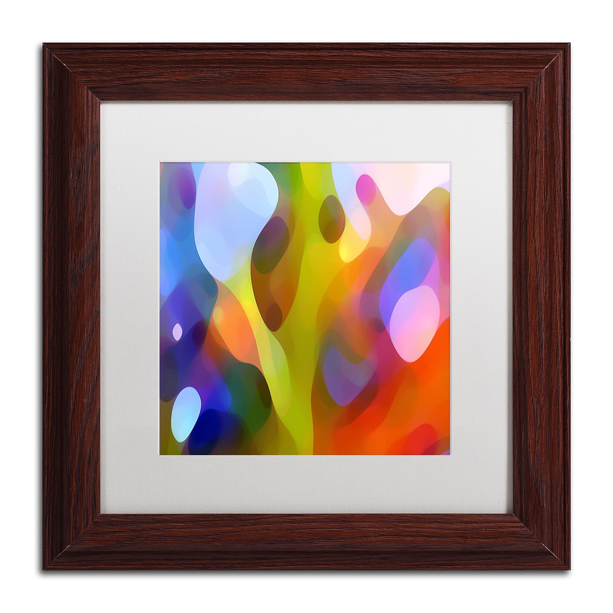 Trademark Fine Art ''Dappled Light 15'' by Amy Vangsgard  11" x 11" White Matted Wood Frame (AV0109-W1111MF)