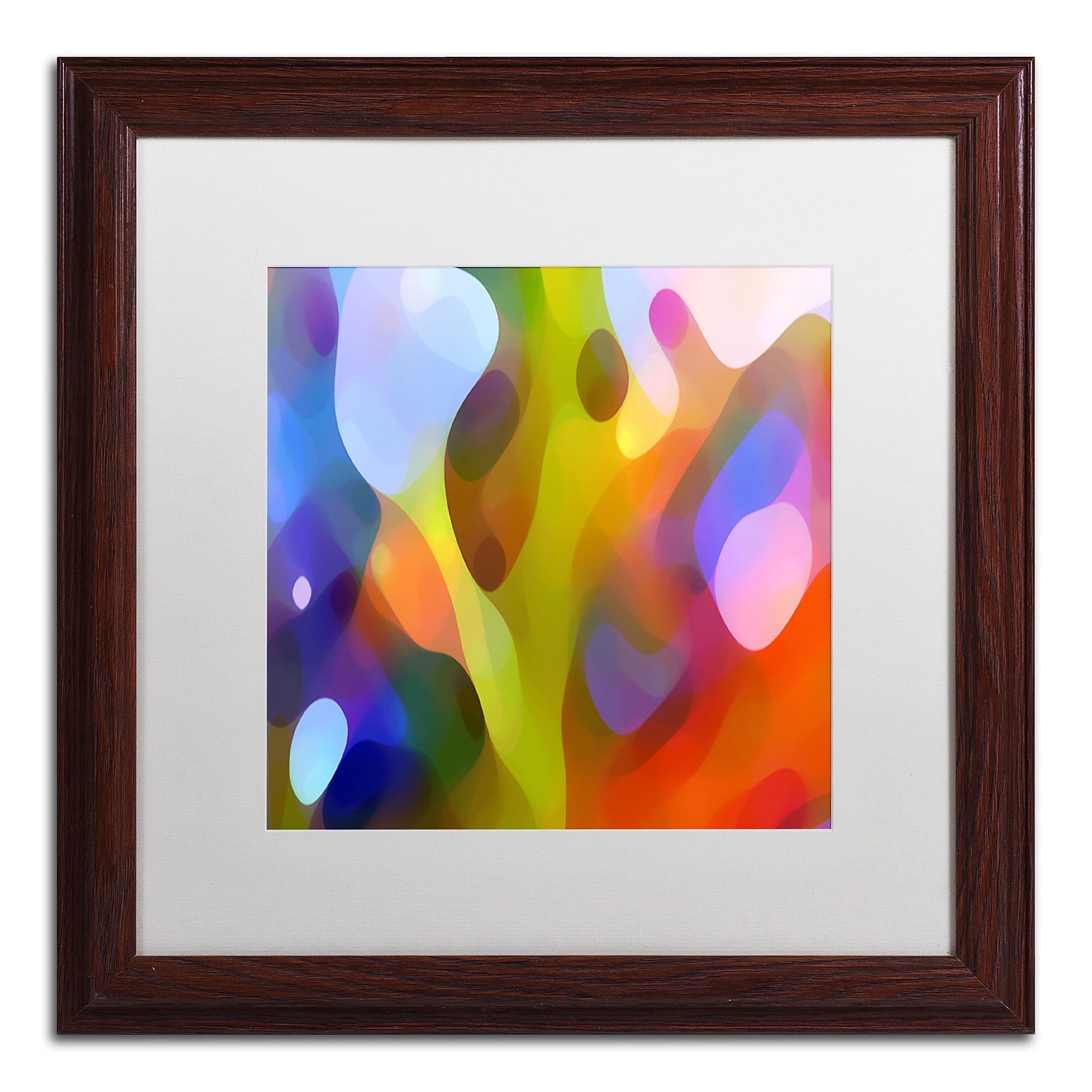 Trademark Fine Art ''Dappled Light 15'' by Amy Vangsgard  16" x 16" White Matted Wood Frame (AV0109-W1616MF)