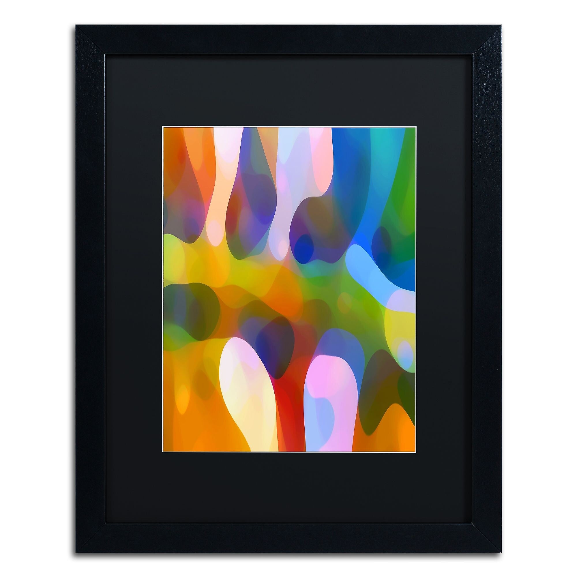 Trademark Fine Art ''Dappled Light Palm 2'' by Amy Vangsgard  16" x 20" Black Matted Black Frame (AV0111-B1620BMF)