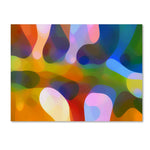 Trademark Fine Art ''Dappled Light Palm 4'' by Amy Vangsgard  35" x 47" Canvas Art (AV0113-C3547GG)