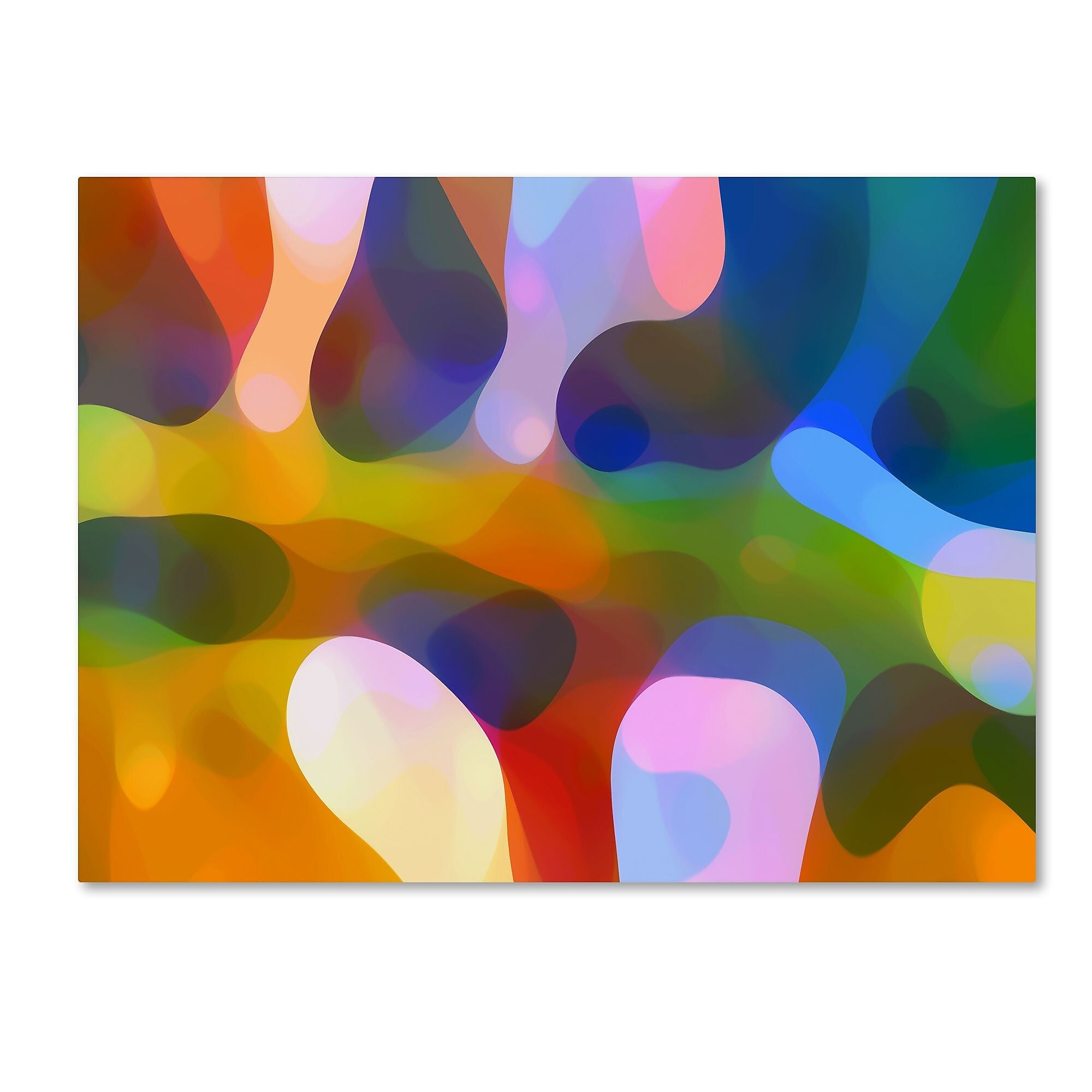 Trademark Fine Art ''Dappled Light Palm 4'' by Amy Vangsgard  35" x 47" Canvas Art (AV0113-C3547GG)