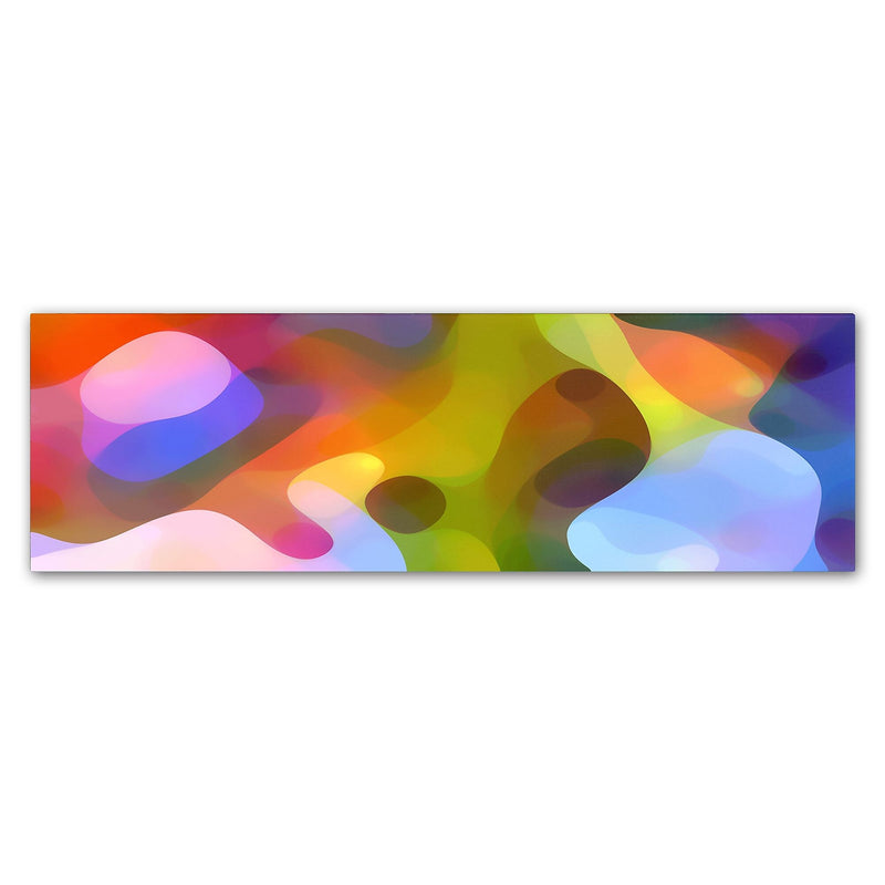 Trademark Fine Art ''Dappled Light Panoramic 2'' by Amy Vangsgard  6" x 19" Canvas Art (AV0117-C619GG)