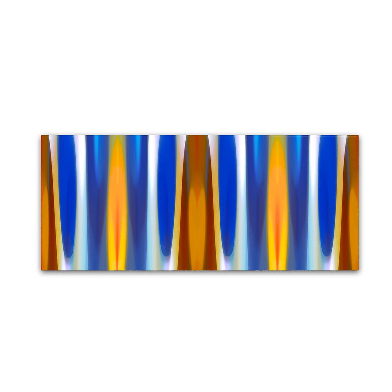 Trademark Fine Art ''Forest Winter Panoramic 2'' by Amy Vangsgard  10" x 24" Canvas Art (AV0124-C1024GG)