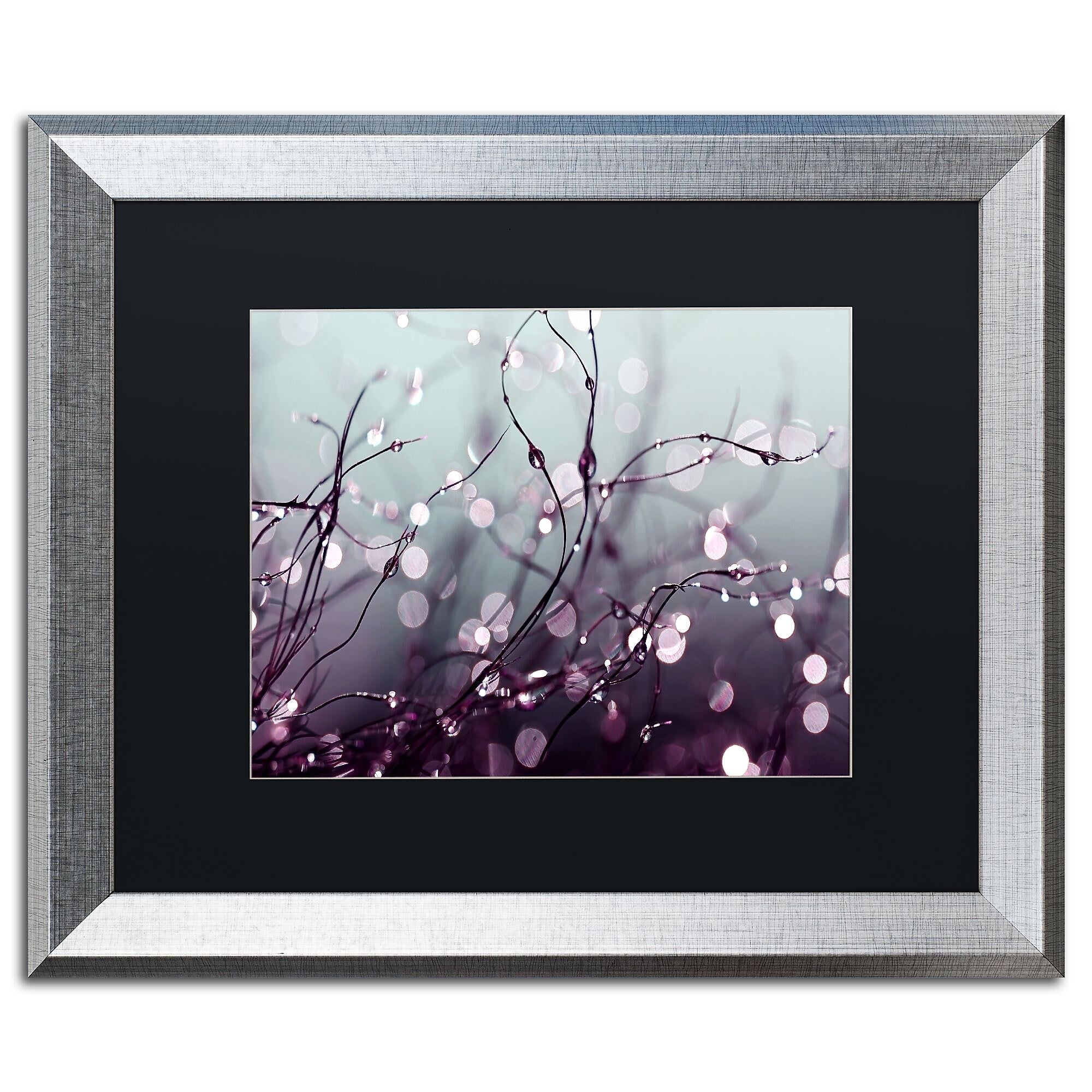 Trademark Fine Art ''Somewhere Over the Rainbow'' by Beata Czyzowska Young 16" x 20" Silver Frame (BC0017-S1620BMF)