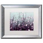 Trademark Fine Art ''Somewhere Over the Rainbow'' by Beata Czyzowska Young 16" x 20" Silver Frame (BC0017-S1620MF)