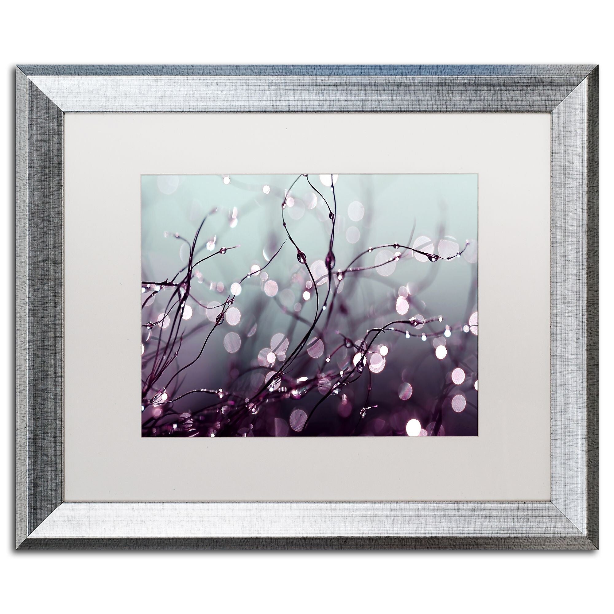 Trademark Fine Art ''Somewhere Over the Rainbow'' by Beata Czyzowska Young 16" x 20" Silver Frame (BC0017-S1620MF)