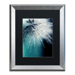 Trademark Fine Art ''Morning Sonata'' by Beata Czyzowska Young 16" x 20" Black Matted Silver Frame (BC0097-S1620BMF)
