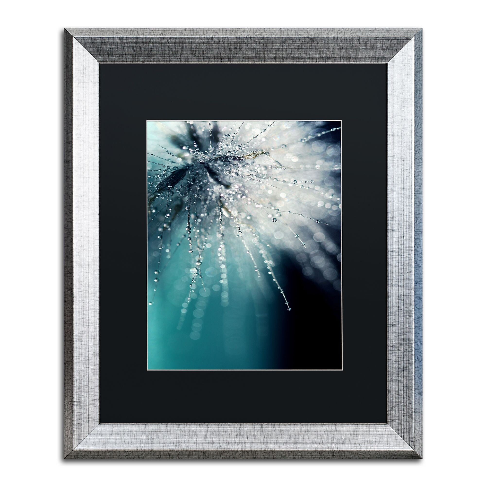 Trademark Fine Art ''Morning Sonata'' by Beata Czyzowska Young 16" x 20" Black Matted Silver Frame (BC0097-S1620BMF)