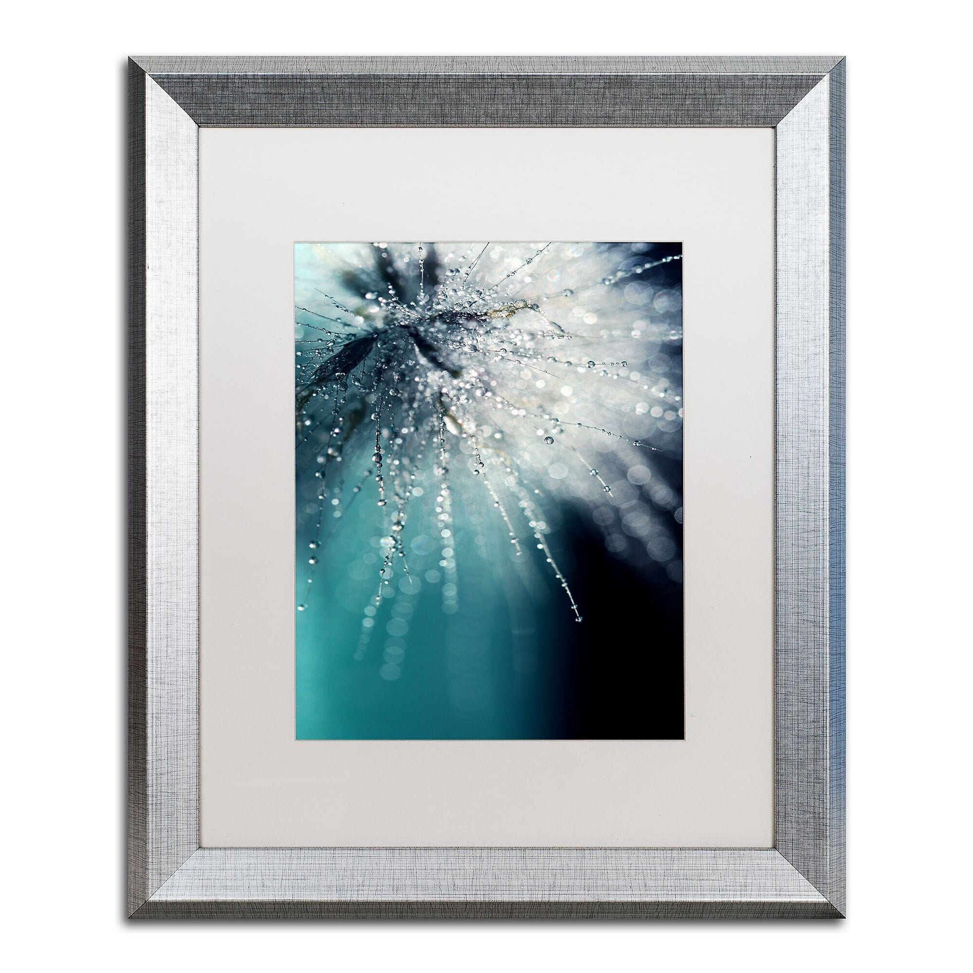 Trademark Fine Art ''Morning Sonata'' by Beata Czyzowska Young 16" x 20" White Matted Silver Frame (BC0097-S1620MF)