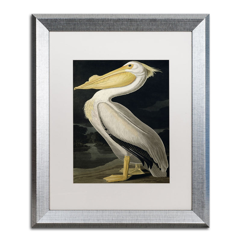 Trademark Fine Art ''American White Pelican'' by John James Audubon 16" x 20" White Matted Silver Frame (BL01258-S1620MF)
