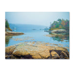 Trademark Fine Art ''Foggy Lake'' by Preston 35" x 47" Canvas Art (EM0511-C3547GG)