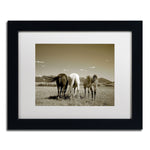 Trademark Fine Art ''Three Horses'' by Preston 11" x 14" White Matted Black Frame (EM0513-B1114MF)
