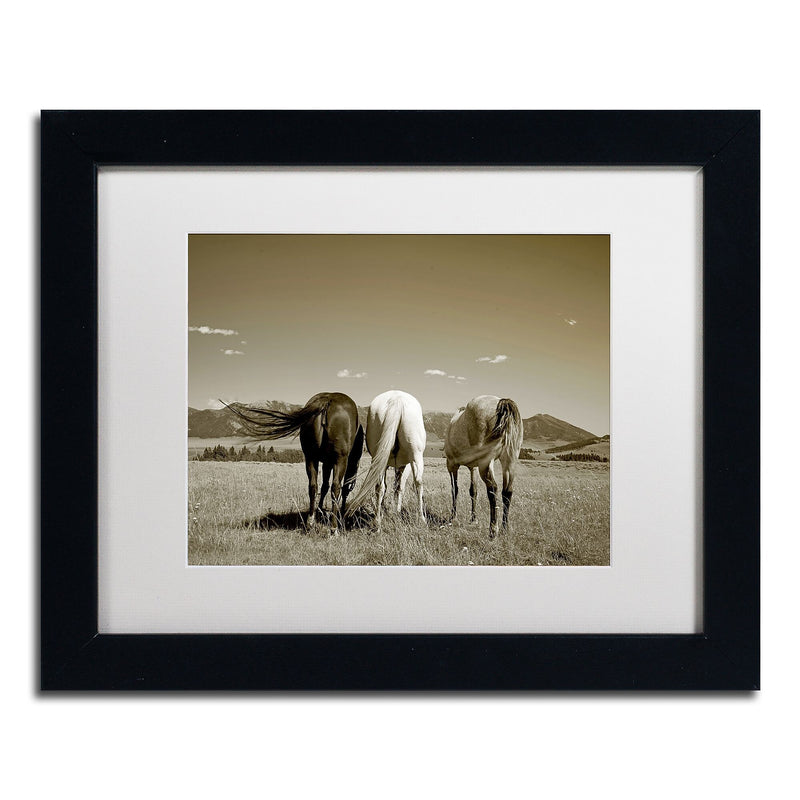 Trademark Fine Art ''Three Horses'' by Preston 11" x 14" White Matted Black Frame (EM0513-B1114MF)