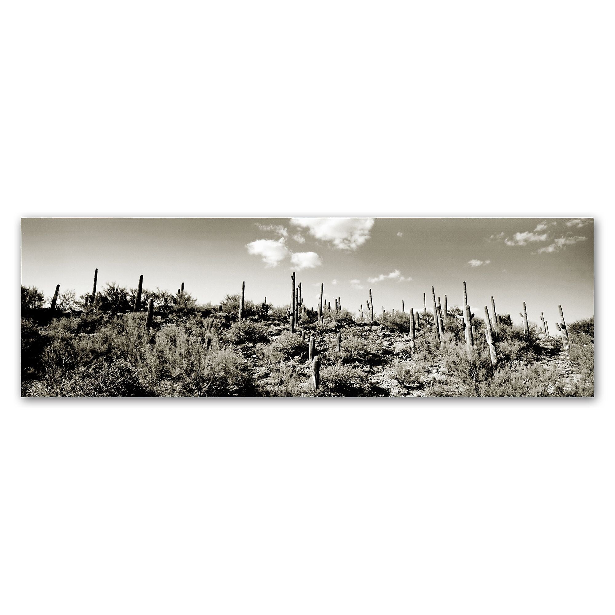 Trademark Fine Art ''Desert'' by Preston 6" x 19" Canvas Art (EM0514-C619GG)