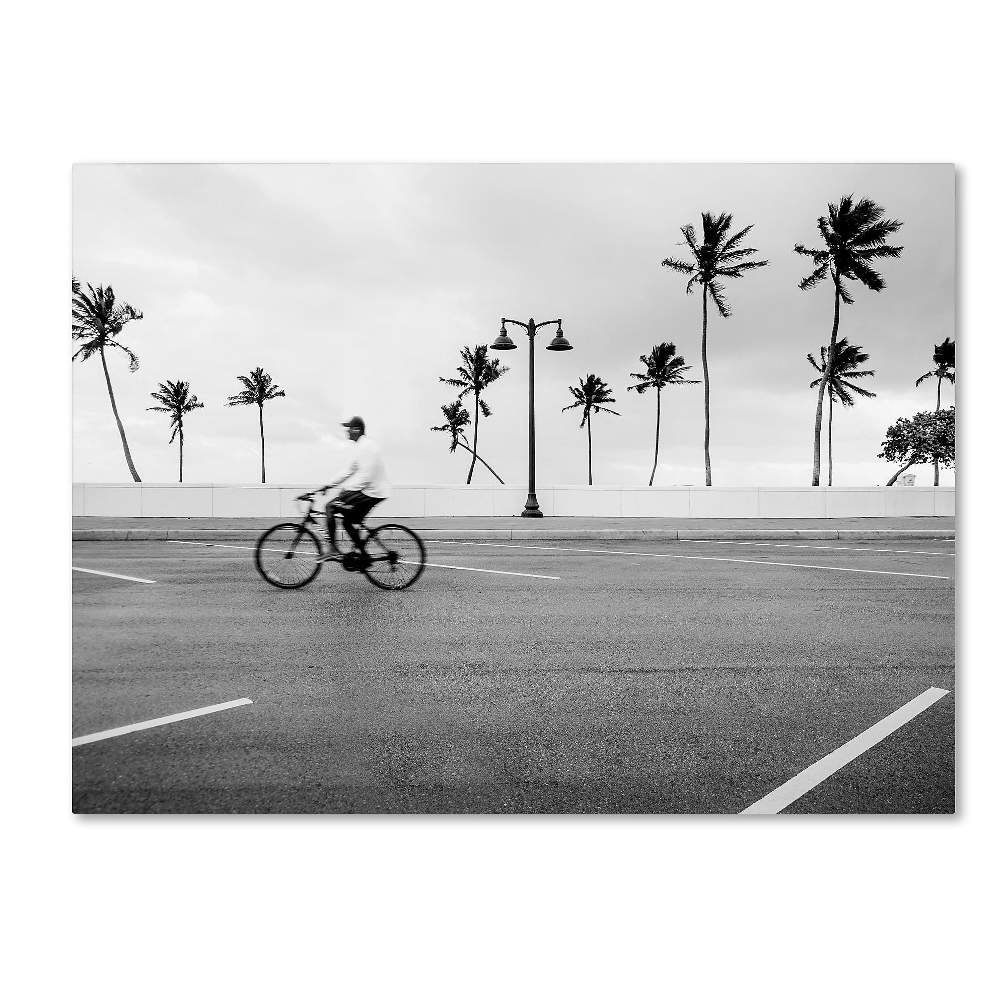 Trademark Fine Art ''Florida Beach Bike'' by Preston 35" x 47" Canvas Art (EM0515-C3547GG)
